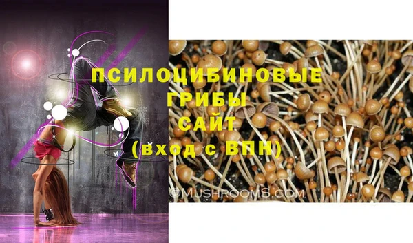 ECSTASY Богородицк