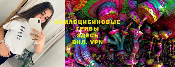 a pvp Семилуки
