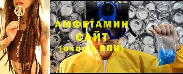 ECSTASY Богородицк
