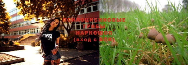 экстази Богородск