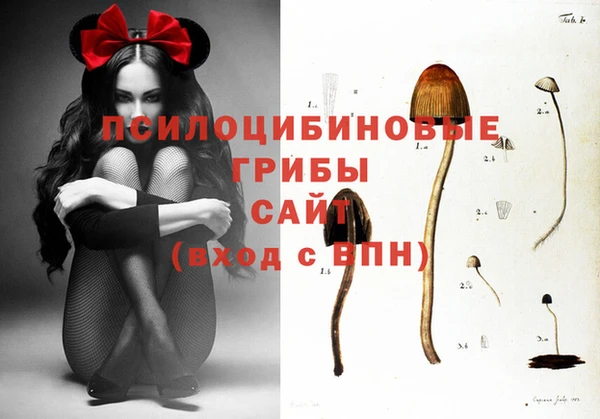 ECSTASY Богородицк