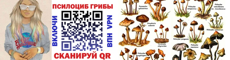 гидра сайт  даркнет сайт  Бутурлиновка  Псилоцибиновые грибы GOLDEN TEACHER 
