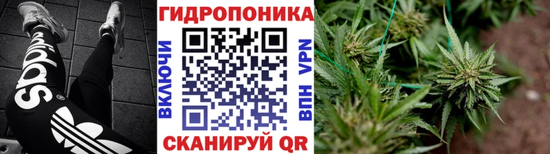 МАРИХУАНА Bruce Banner купить закладку Бутурлиновка